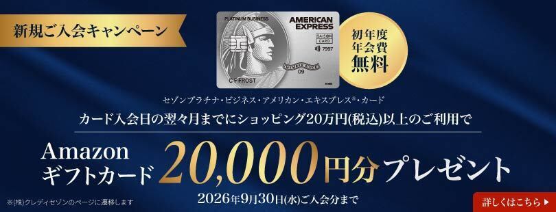 セゾンアメックスカード